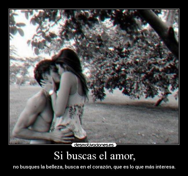 Si buscas el amor, - 