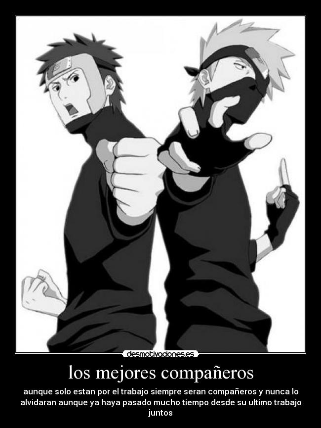 los mejores compañeros -