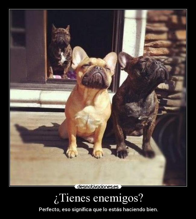 ¿Tienes enemigos? - Perfecto, eso significa que lo estás haciendo bien.