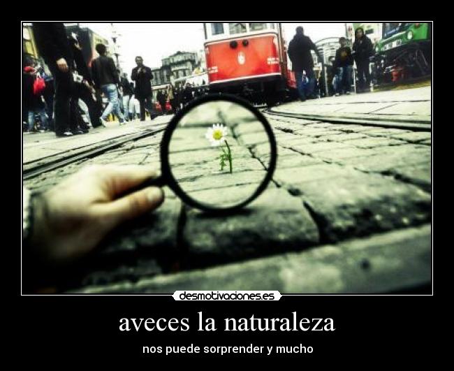 aveces la naturaleza - nos puede sorprender y mucho