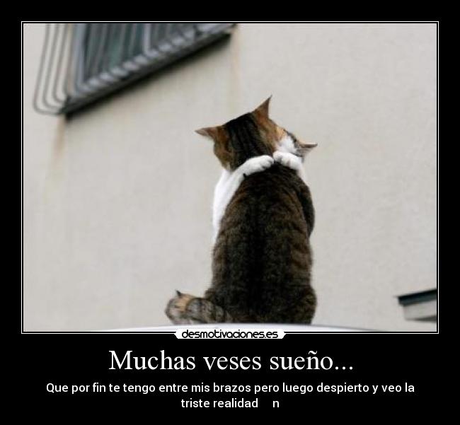 carteles desamor desmotivaciones