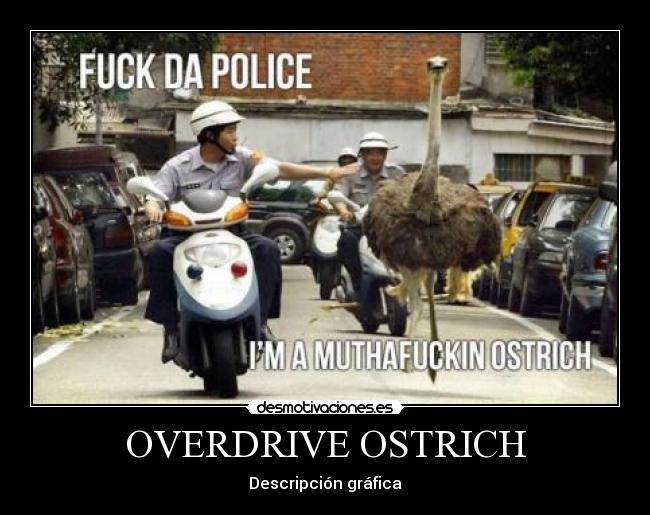 carteles megaman overdrive ostrich desmotivaciones