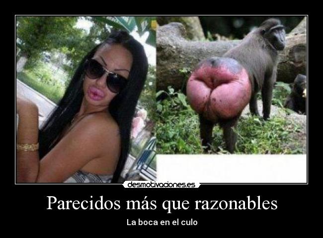 Parecidos más que razonables - La boca en el culo