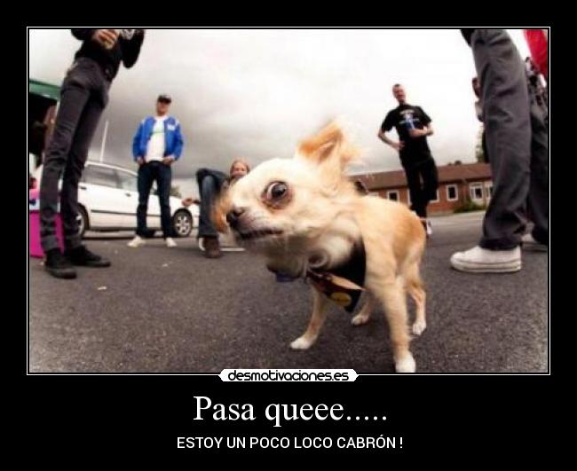 Pasa queee..... - ESTOY UN POCO LOCO CABRÓN !