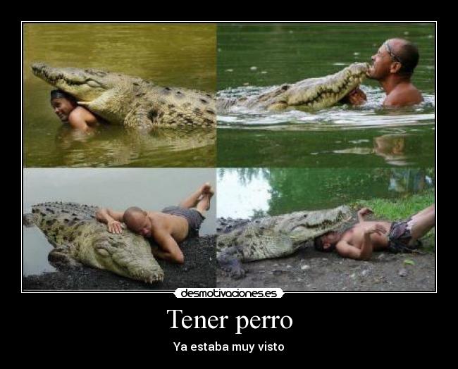 Tener perro - Ya estaba muy visto