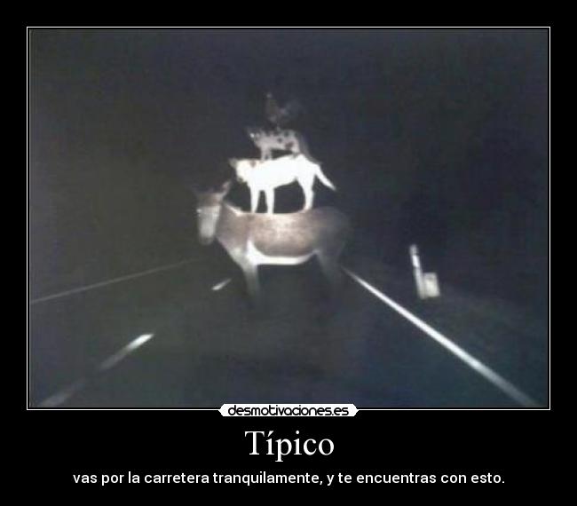 Típico - vas por la carretera tranquilamente, y te encuentras con esto.