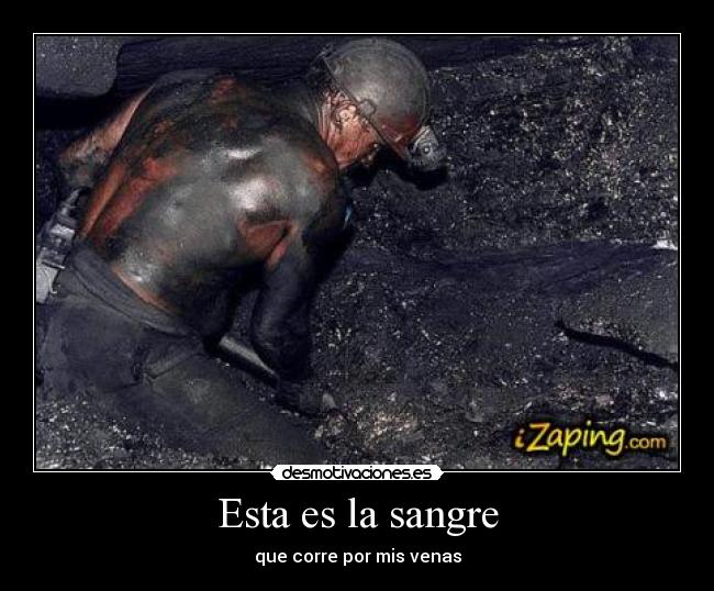 Esta es la sangre - que corre por mis venas