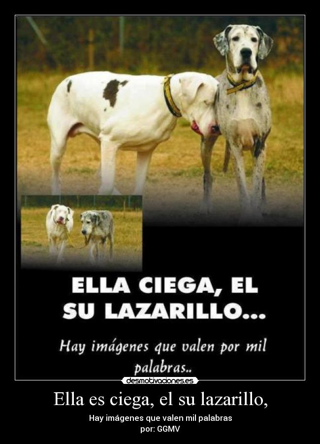 Ella es ciega, el su lazarillo, - Hay imágenes que valen mil palabras
por: GGMV