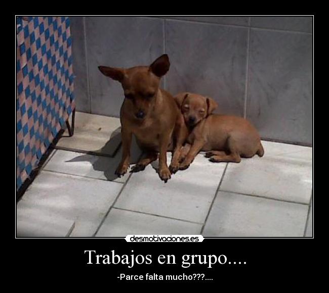 Trabajos en grupo.... - 