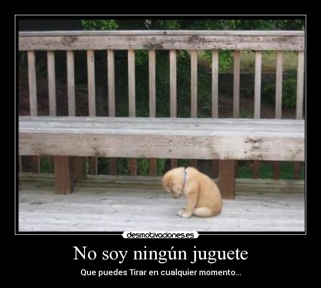 No soy ningún juguete - Que puedes Tirar en cualquier momento...