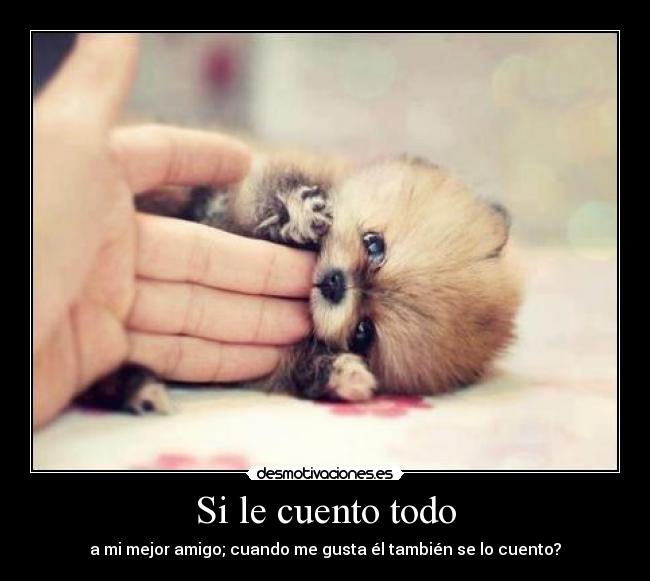 Si le cuento todo - a mi mejor amigo; cuando me gusta él también se lo cuento?