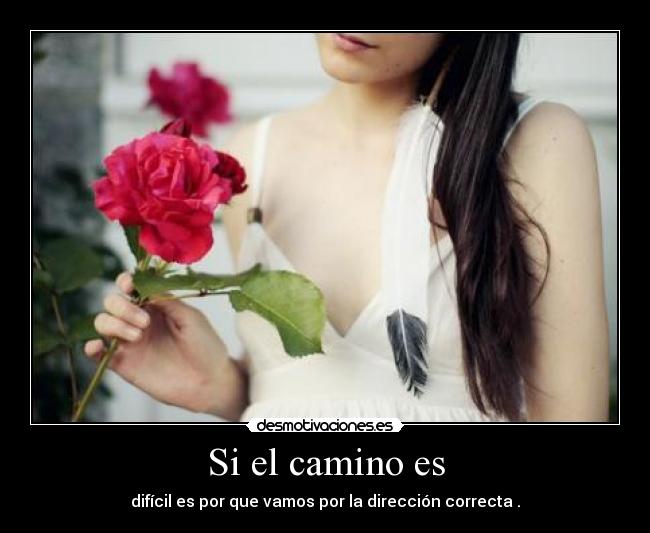 carteles danii angel desmotivaciones