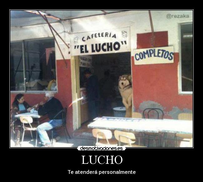 LUCHO - Te atenderá personalmente