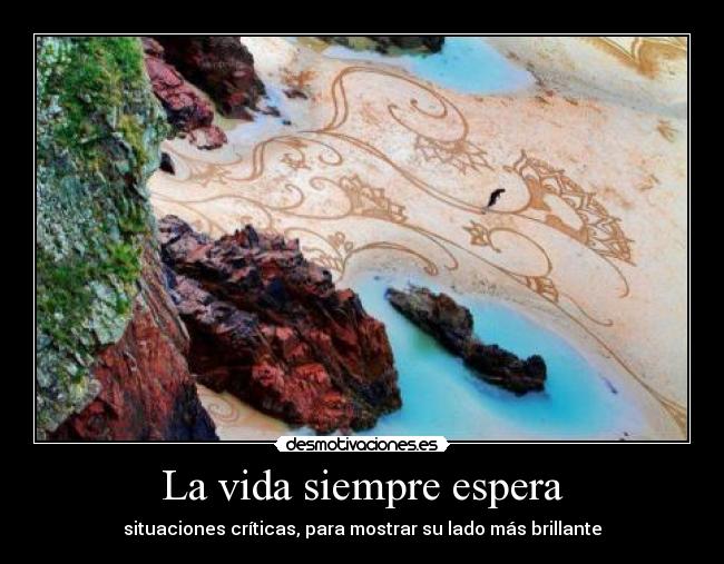 La vida siempre espera -