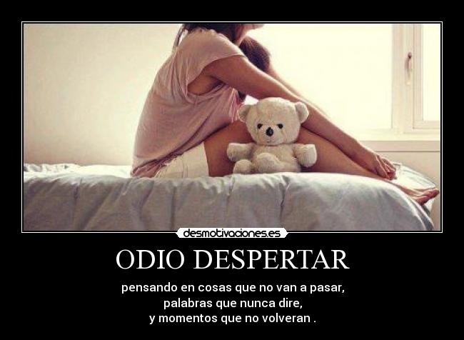 carteles odio danii angel desmotivaciones