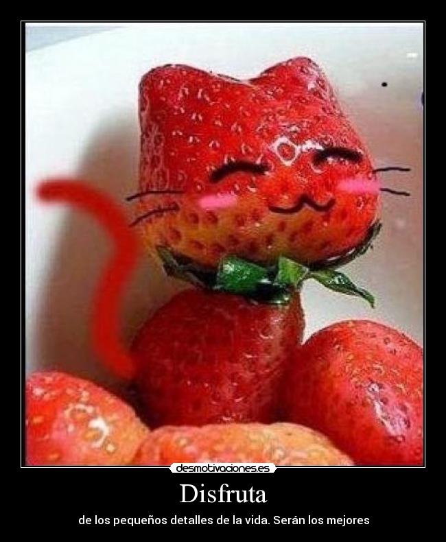 Disfruta - 