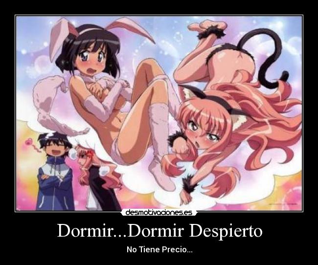 Dormir...Dormir Despierto - No Tiene Precio...