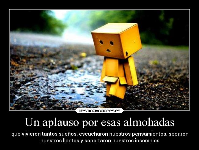 Un aplauso por esas almohadas -