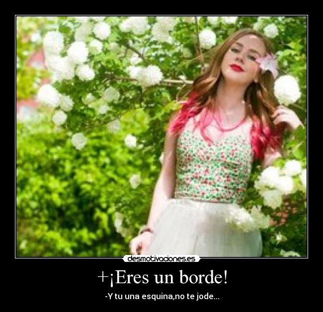 +¡Eres un borde! - -Y tu una esquina,no te jode...