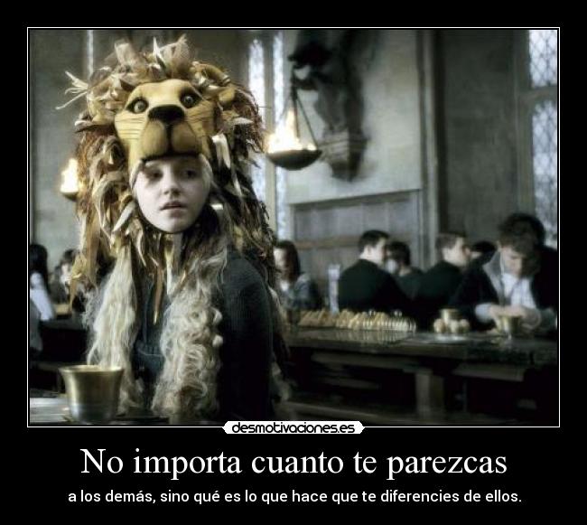 carteles pawisloveshp laordendelfenix nah frase dice dumbledore hp5 solo cambie algunas palabras desmotivaciones