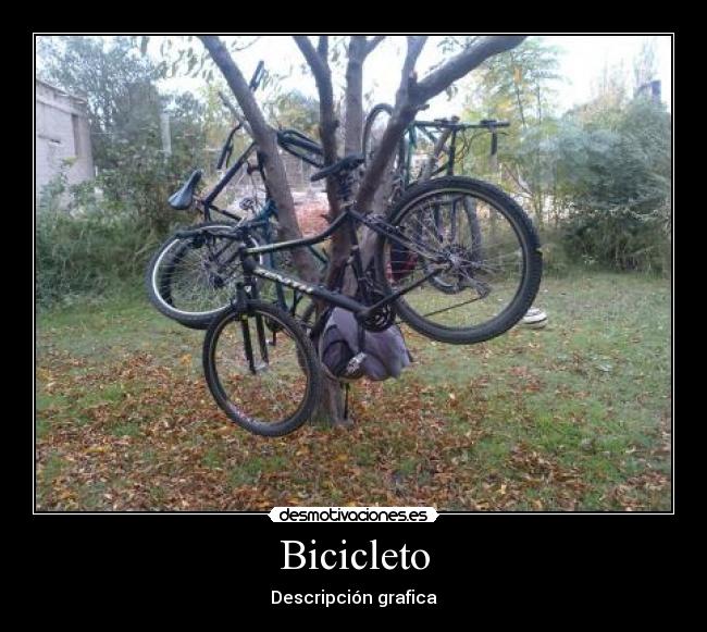 Bicicleto - 