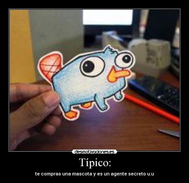 Típico: - te compras una mascota y es un agente secreto u.u