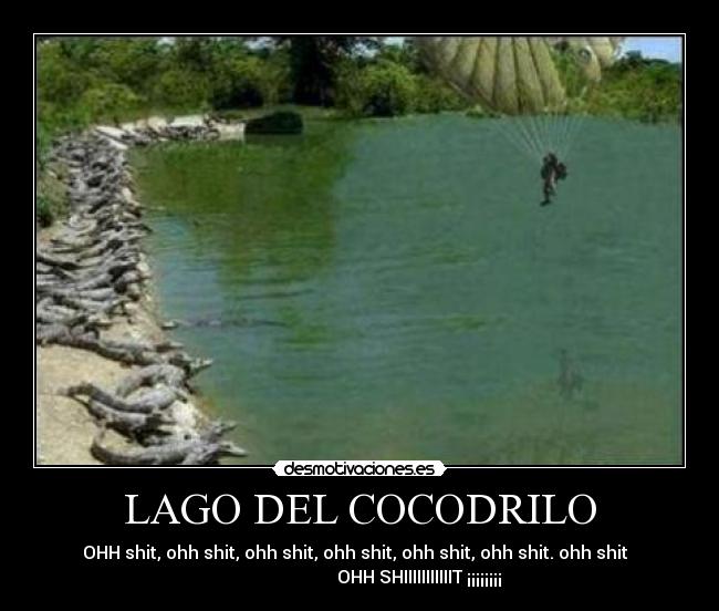 carteles cocodrilos estupidez paracaidismo lol lago comer desmotivaciones