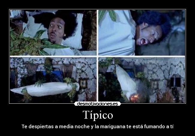 Típico - Te despiertas a media noche y la mariguana te está fumando a tí