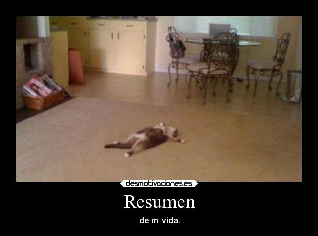 Resumen -