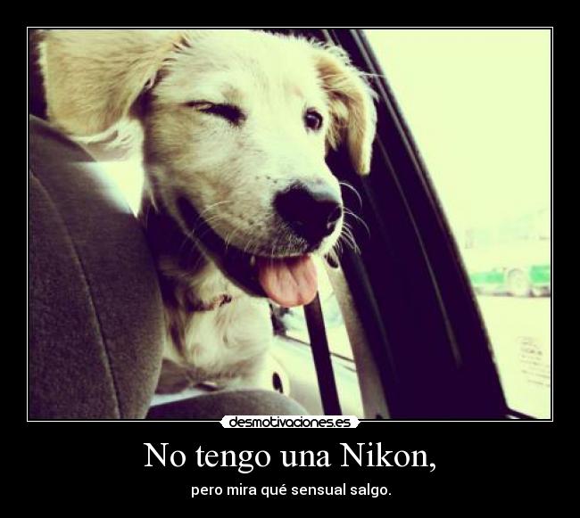 carteles nikon desmotivaciones