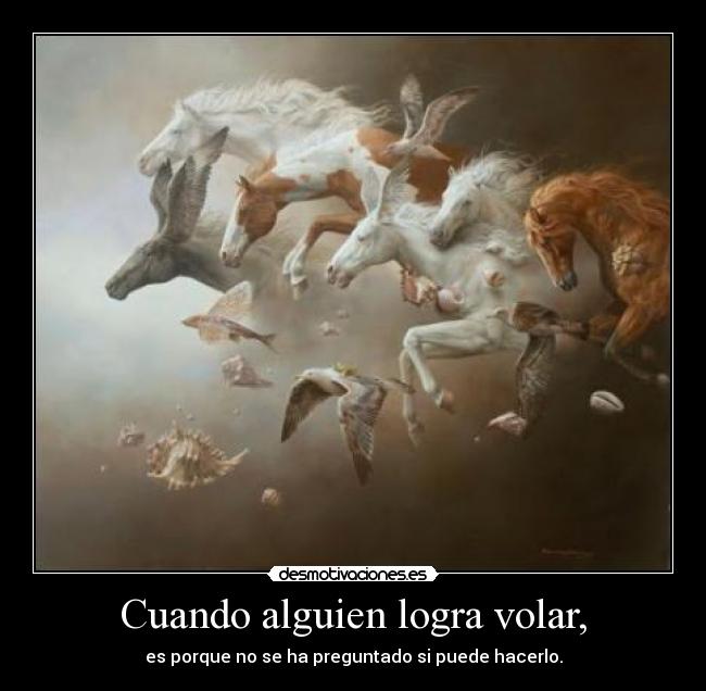 Cuando alguien logra volar, - 