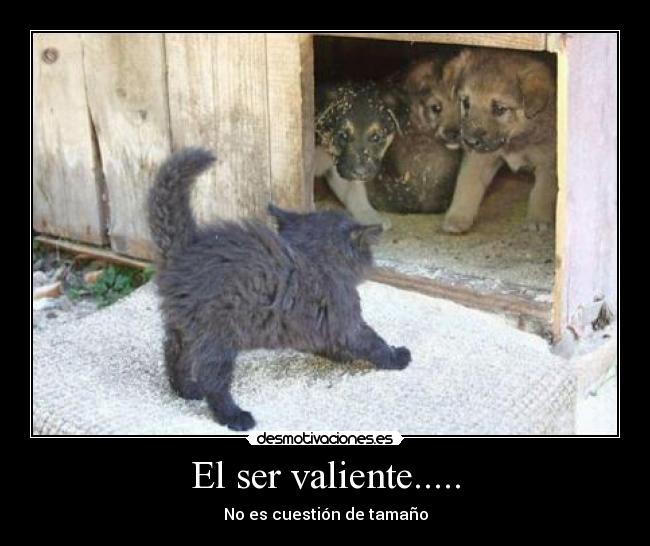 El ser valiente..... -