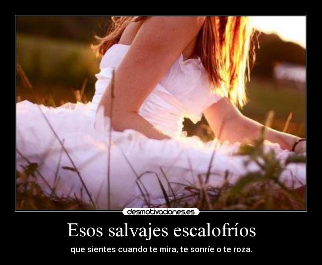 Esos salvajes escalofríos - que sientes cuando te mira, te sonríe o te roza.