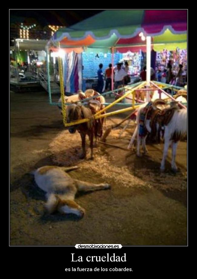 La crueldad - es la fuerza de los cobardes.