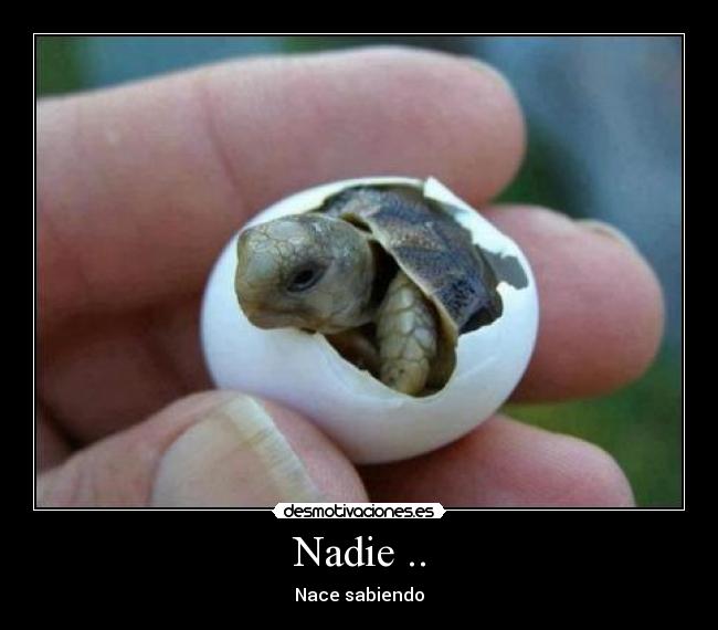 Nadie .. - 