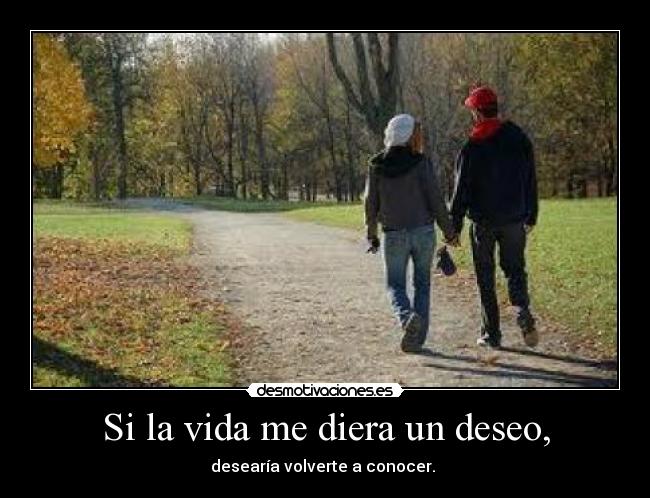 Si la vida me diera un deseo, -