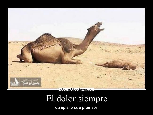 El dolor siempre - cumple lo que promete.