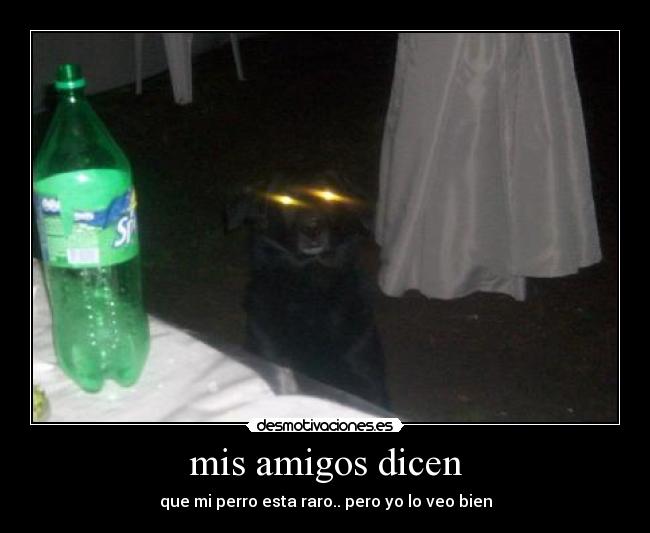 mis amigos dicen -