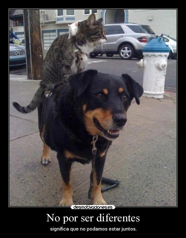 No por ser diferentes -