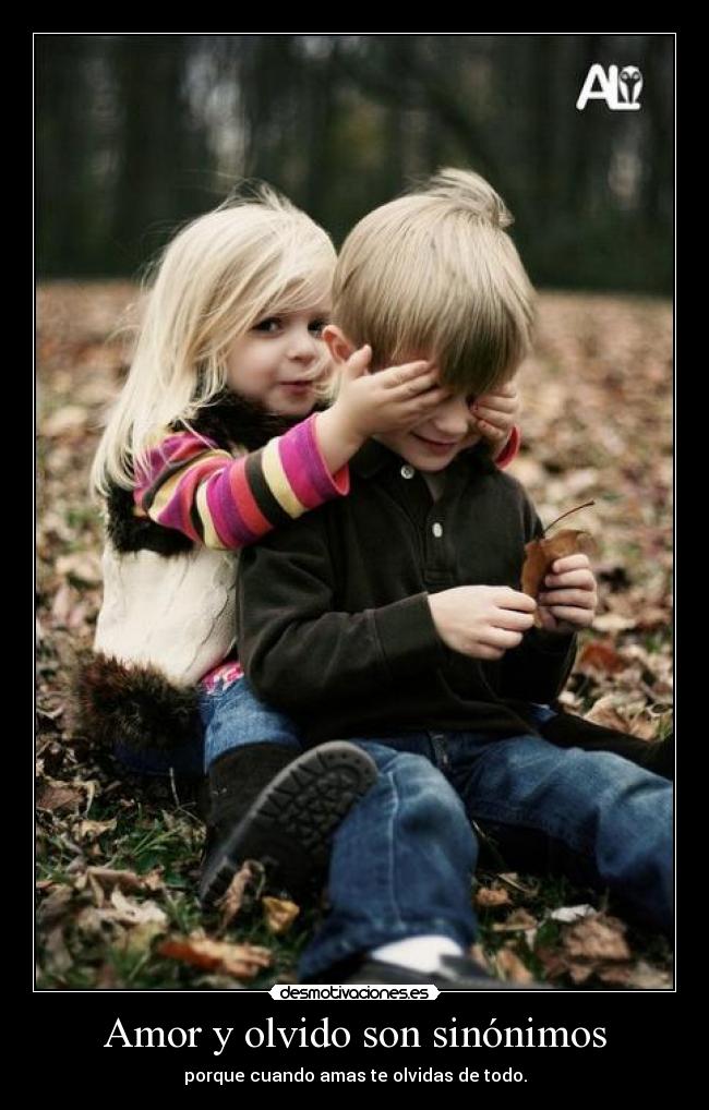 Amor y olvido son sinónimos -