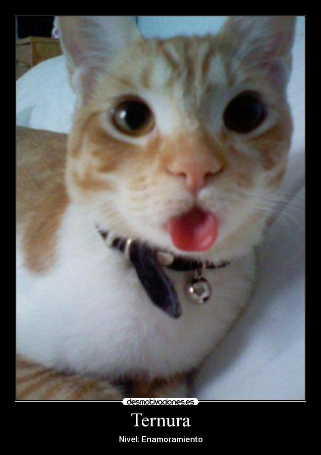 Ternura - Nivel: Enamoramiento
