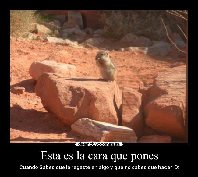 Esta es la cara que pones - Cuando Sabes que la regaste en algo y que no sabes que hacer  D: