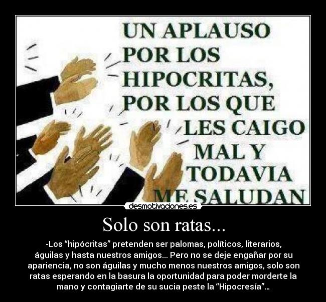 Solo son ratas... -