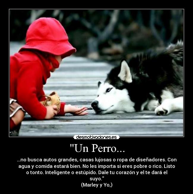 Un Perro... - 