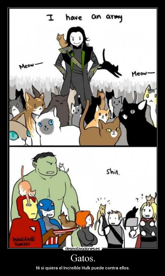 Gatos. - Ni si quiera el Increíble Hulk puede contra ellos.