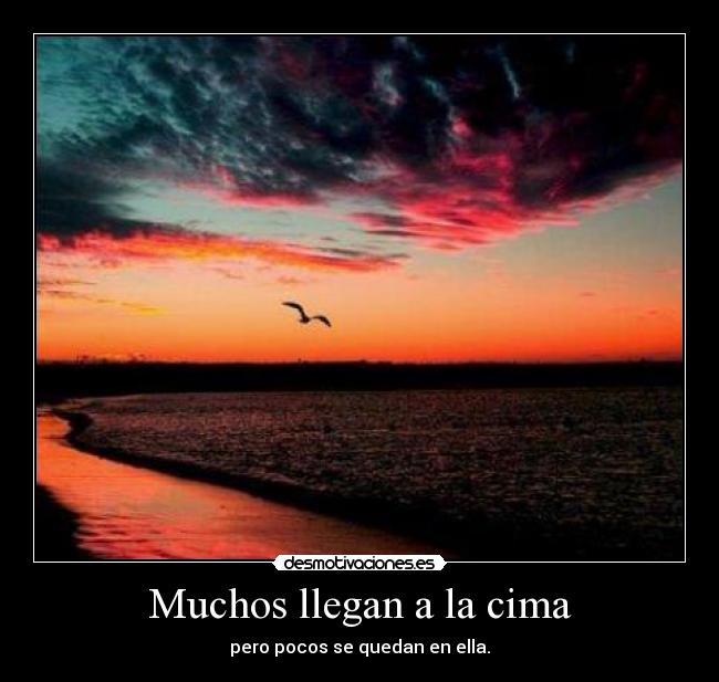 Muchos llegan a la cima - pero pocos se quedan en ella.