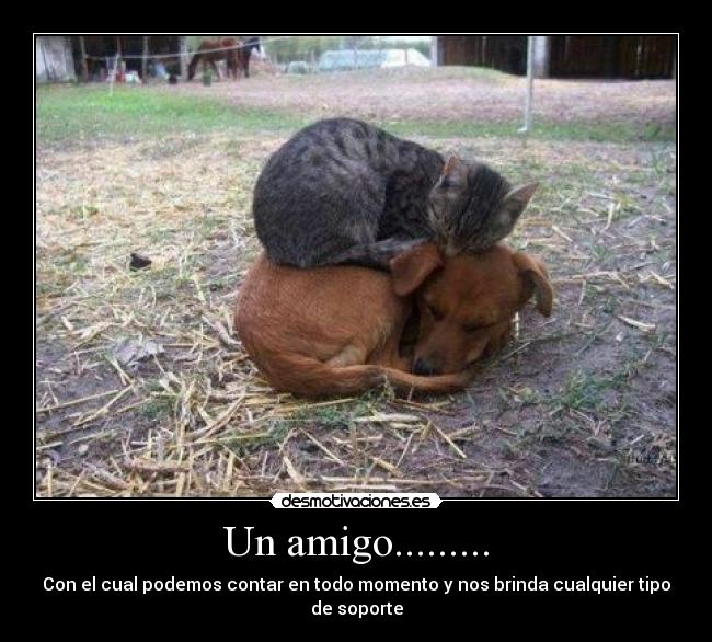 Un amigo......... -