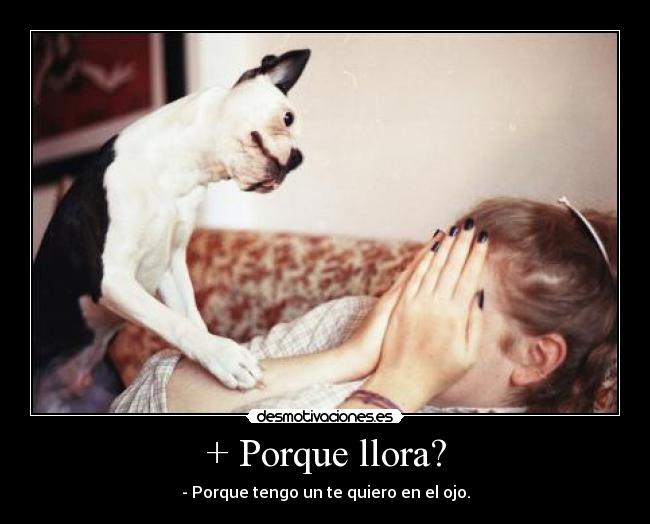+ Porque llora? - 