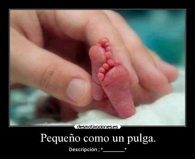 Pequeño como un pulga. - Descripción ; *_________*