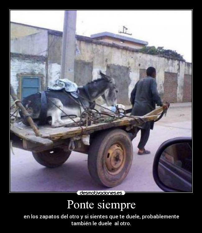 Ponte siempre - en los zapatos del otro y si sientes que te duele, probablemente
también le duele al otro.